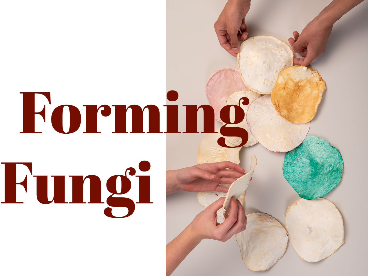 Forming Fungi