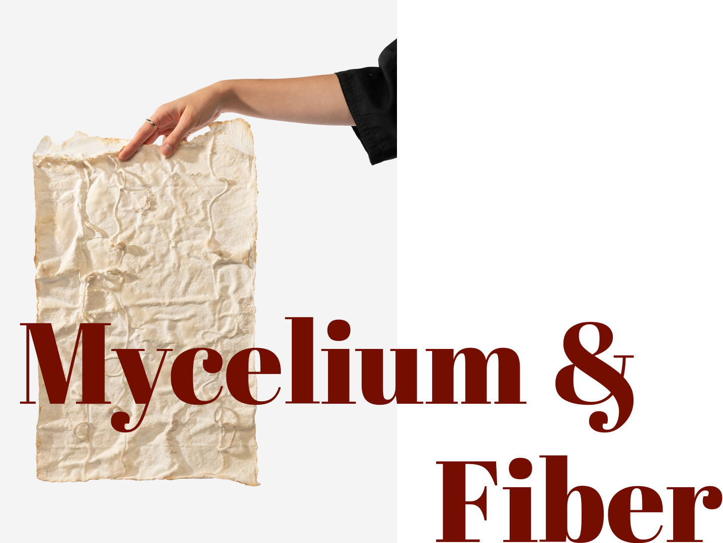 Mycelium & Fiber