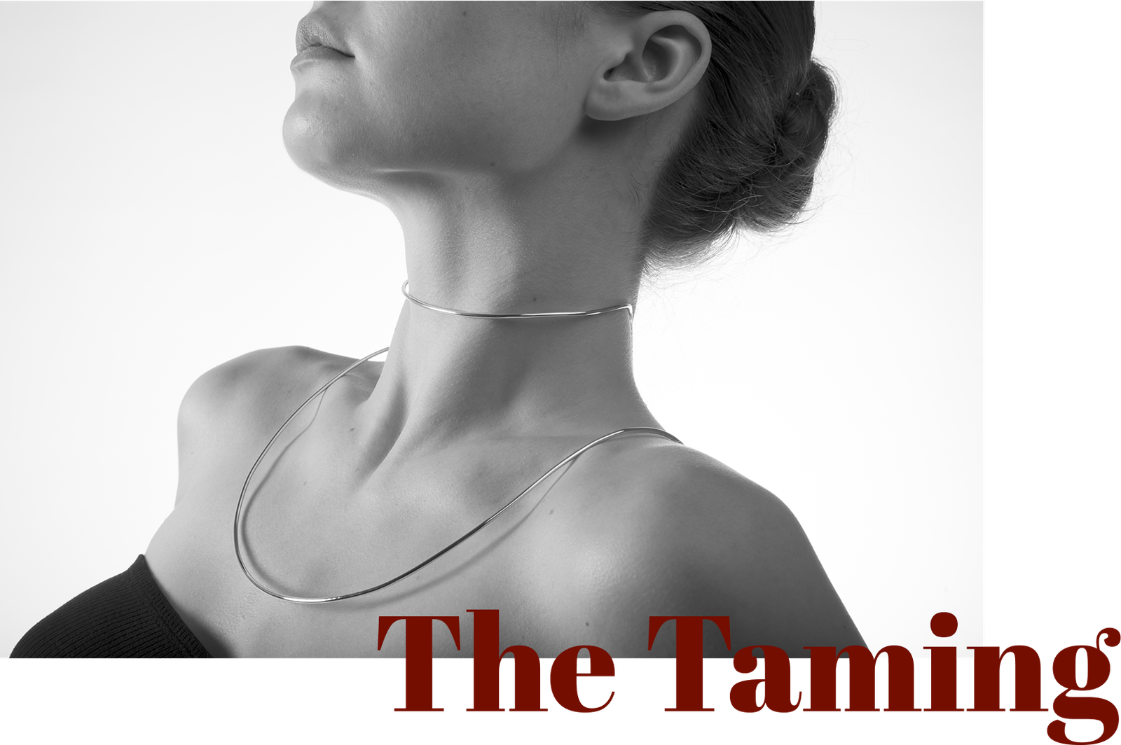 Taming cover