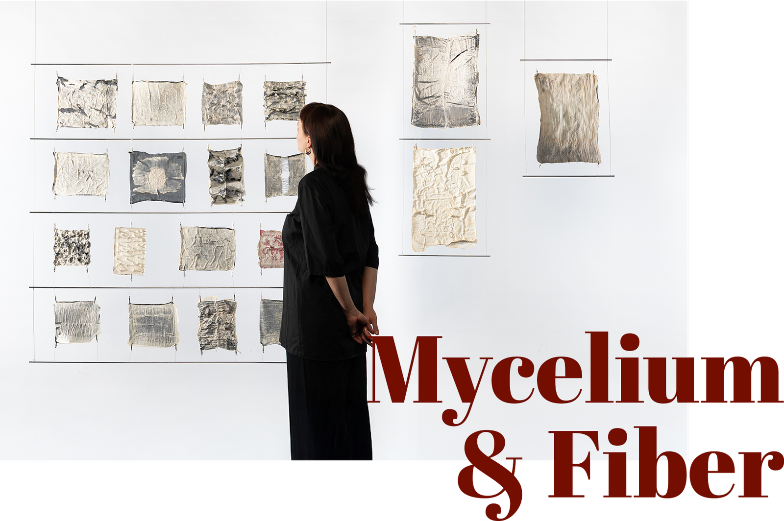 myco.cover