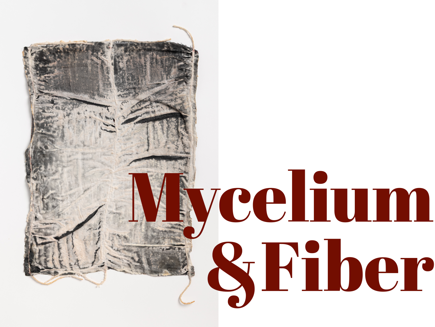 Mycelium & Fiber